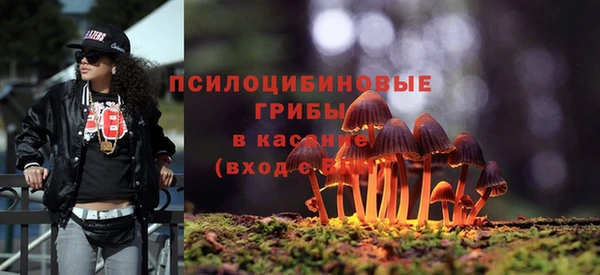 кокаин Белокуриха